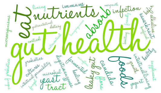 Why we all should be taking a Probiotic
