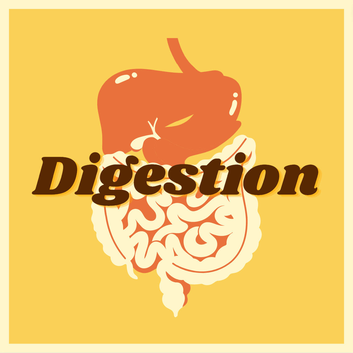 Digestive Health