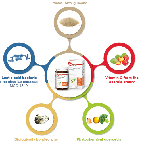 Dr Wolz Immun Select Capsules