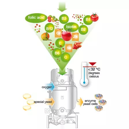 Dr Wolz Zell Oxygen Plus