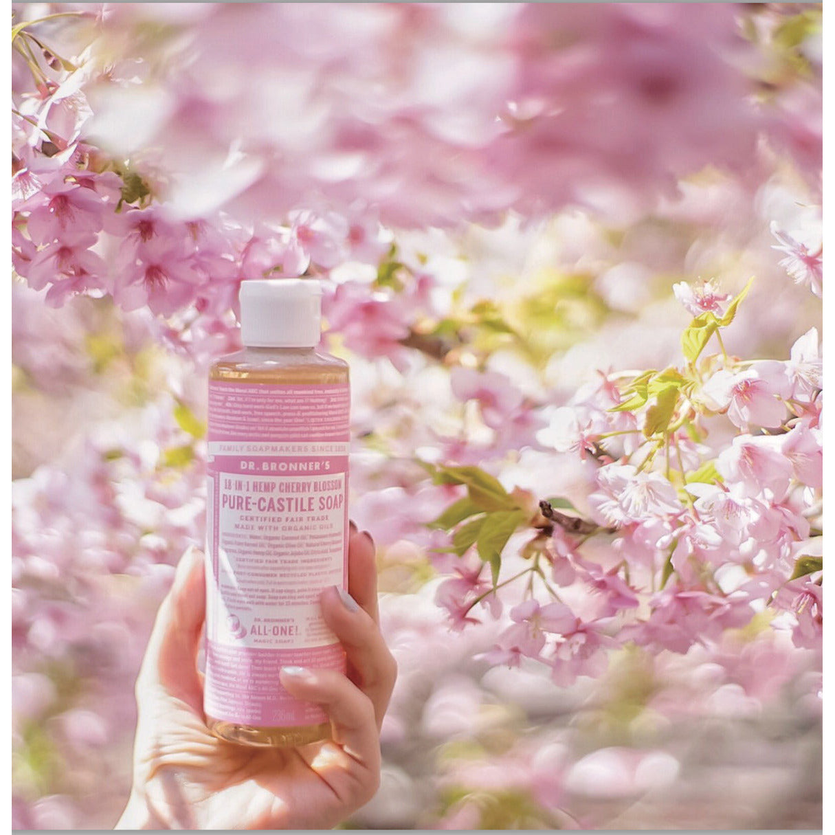 Dr Bronner's Castille Soap Liquid Soap 18-In-1 Cherry Blossom